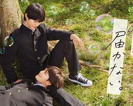 通呀好多福利海报剧照