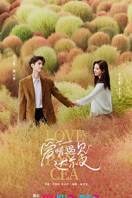 快鸟视频海报剧照