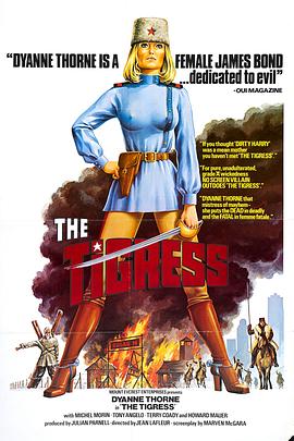 厨房里的女人海报剧照